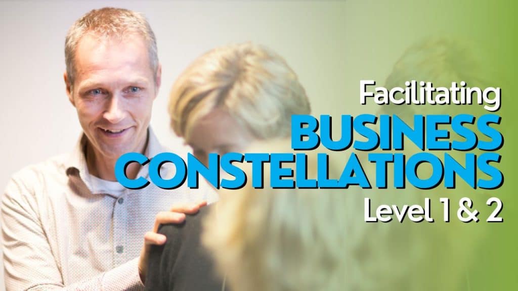 Facilitating Business Constellations level 1 and 2