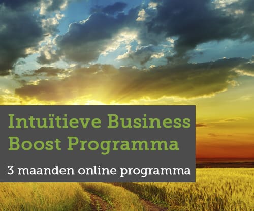 Intuïtieve Business Boost Programma