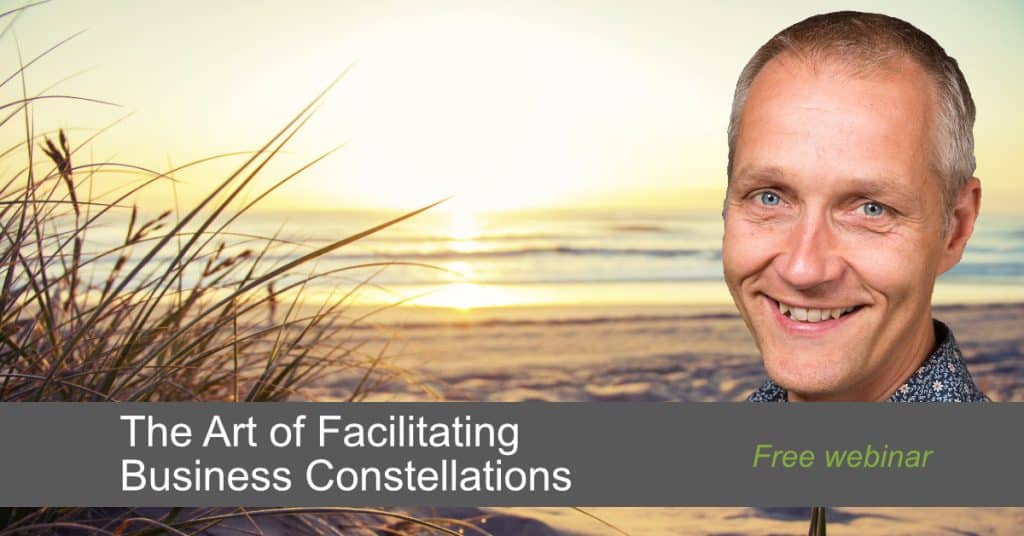 The Art of Facilitating Business Constellations