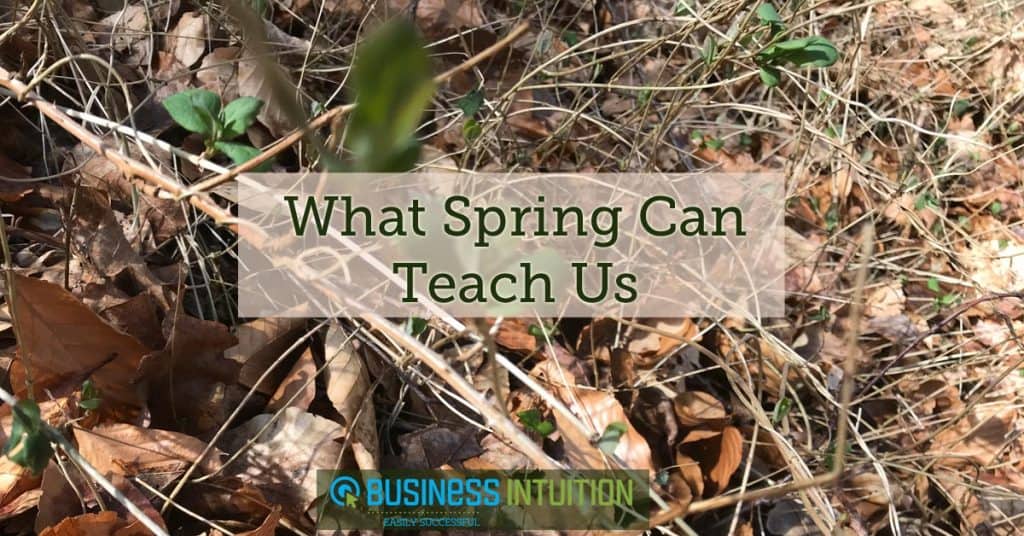 What-spring-can-teach-us